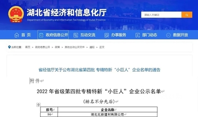 湖北北新荣登湖北省专精特新‘小巨人’企业榜单，彰显创新实力
